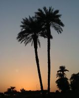 DSCF2548.JPG