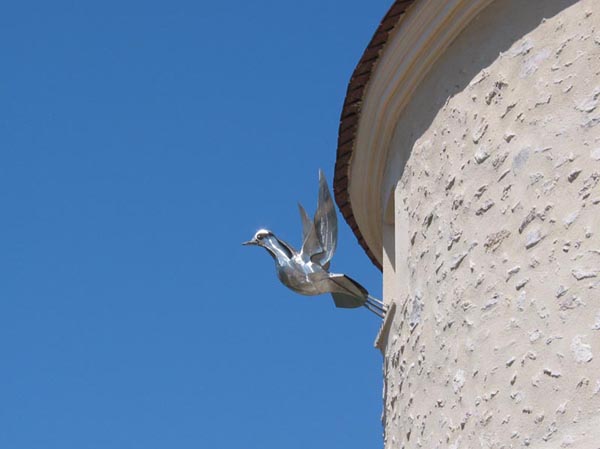 Envol du pigeon voyageur
