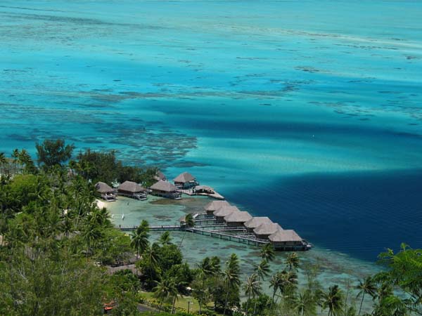 Joli jardin à Bora-Bora
Le jardin de Bora-Bora en Polynésie Française
Mots-clés: Bora-Bora