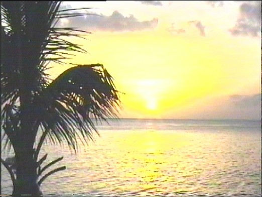 Coucher de soleil jaune en Gwada
Mots-clés: Guadeloupe