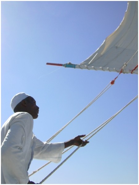 Felouque sur le Nil
En aval de Assouan, batelier egyptien hissant la voile
Mots-clés: Assouan Egypte Nil