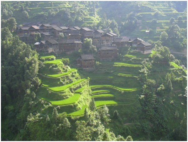 Village ethnique et rizières en terrasses
Village montagnard à proximité de Zhaxing dans la province du Guizhou, en Chine du Sud
Mots-clés: Chine Guizhou Rizières