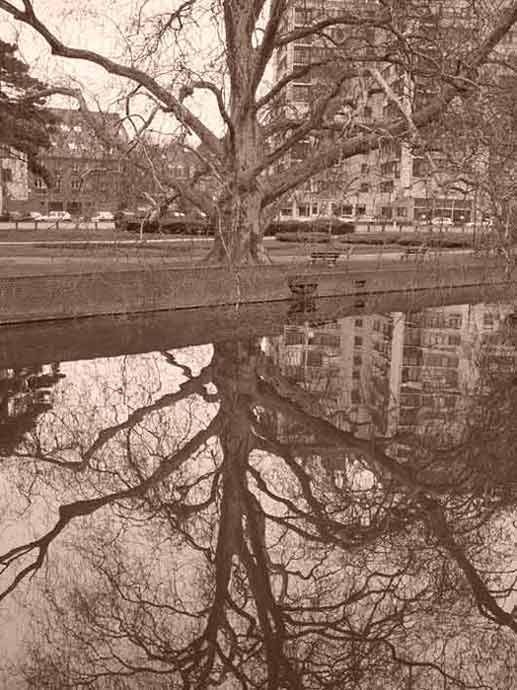 Lille, paysage urbain
Ville de lille
Mots-clés: Lille arbre