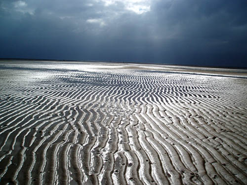 La mer se retire à l'ile Madame, marée vers Oléron - France
Ile madame non loin de l'ile de l'oléron 
Mots-clés: ile île plage oléron France marée