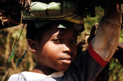 Petit porteur de Mayotte - juin 1995
Mots-clés: Tsingoni Mayotte enfants portrait porteur
