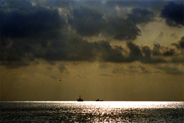 Horizon
Une vue prise d'un bateau lors d'une traversée...
