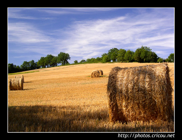Foin en Aveyron, Malleville
photo d'une meule de foin prise en Aveyron à Mallevile
Mots-clés: aveyron mallevile millaud villefrance