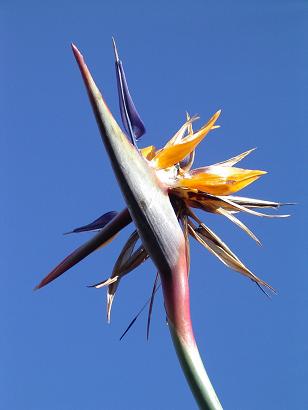 Paradis... Australie
Mots-clés: Australie