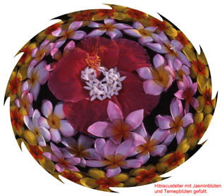 Hibiscusblütenteller
Asiatischer schwimmender Blütenteller:
Hibiscusblüte und Tempelblüten  gefüllt mit Jasminblüten

