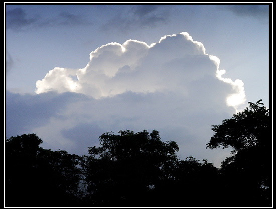 Le soir tombe sur Nagarholé
c'est le soir ou tôt le matin que nous avons le plus de chance de croiser des animaux, et s'ils sont cool, de les observer....
Mots-clés: jungle soir coucher du soleil inde