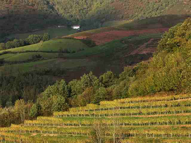 Avant la pluie - Pas loin de Bayonne - 1er Novembre 2005
Mots-clés: Bayonne