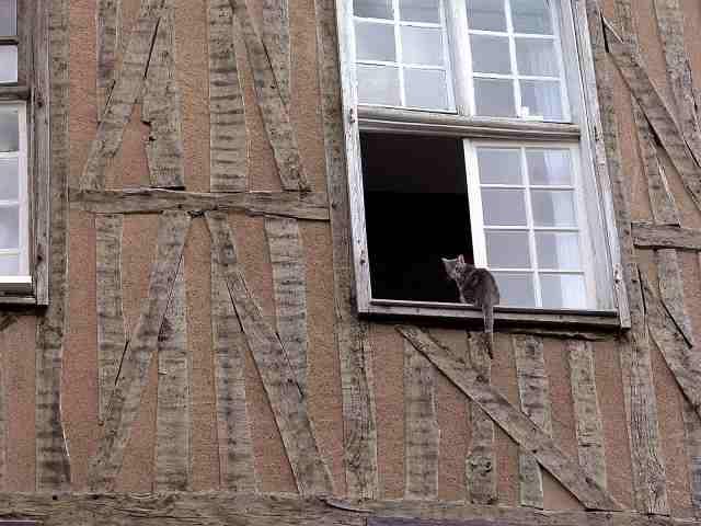 Chat à sa fenêtre dans une rue de Rennes, France
Très belle façade dans une vieille rue de Rennes; Avril 2005
