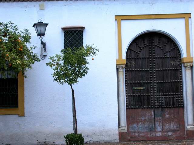 Patio de Banderas - Séville - Décembre 2005
Mots-clés: Seville