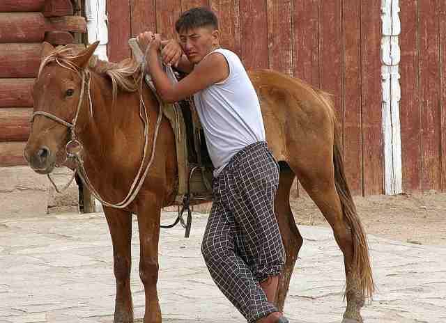 Rencontre mitigée
Homme et son cheval, quelque part en Mongolie, pas vraiment sobre ! (l'homme, pas le cheval ...)
Mots-clés: Mongolie