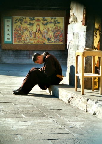Engourdissement Chine
Tête baissée Chine du nord - Novembre 2002
Mots-clés: Chine