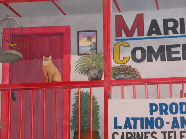 Sur un mur Bruxelles
Bruxelles - Novembre 2004
Mots-clés: Bruxelles Belgique