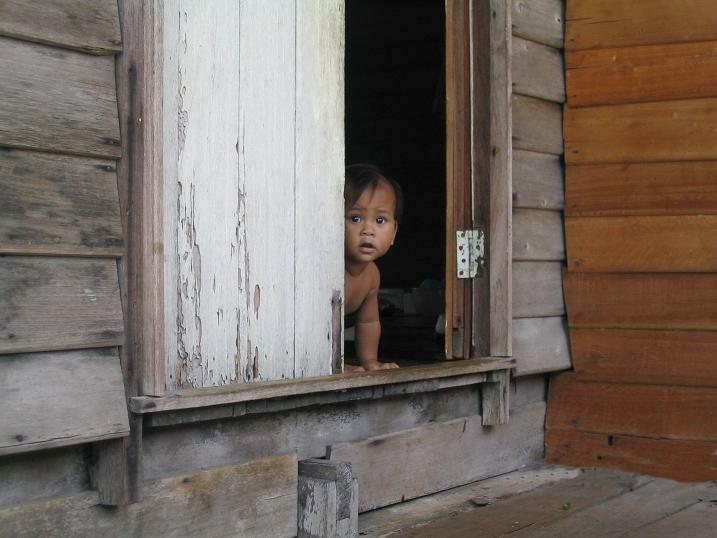 L'extraordinaire se trouve sur le chemin des gens ordinaires... Malaisie Bornéo
Mots-clés: Malaisie Borneo