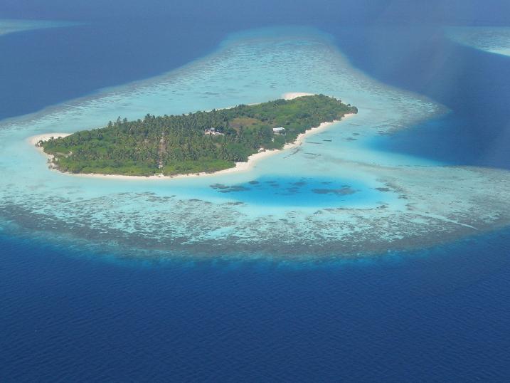 Ilot maldivien  Maldives
Mots-clés: Maldives
