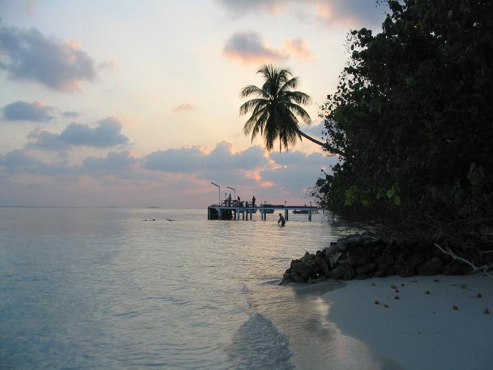 Plage des Maldives
Mots-clés: Maldives