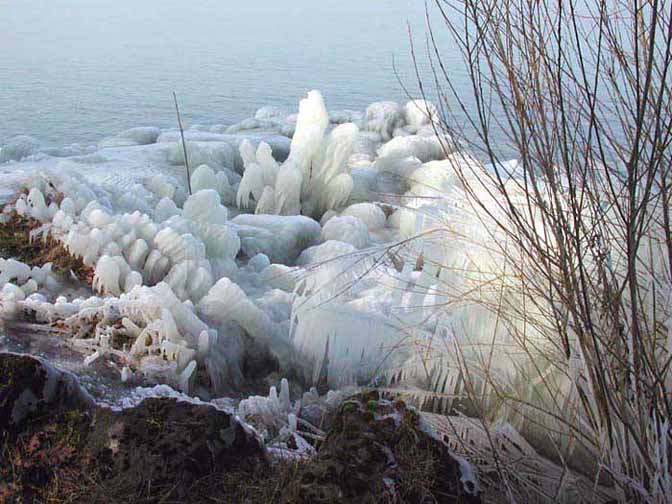 Dentelle de glace sur les bords du Lac de Neuchâtel
 CH, Février 2003
Mots-clés: lac-de-Neuchâtel Suisse