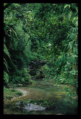 Mots-clés: emeishan chine chengdu