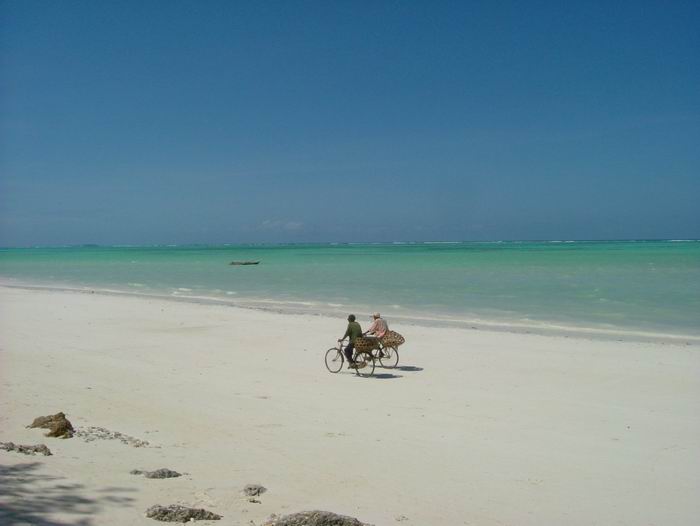 Plage de Zanzibar
Plage de Zanzibar

