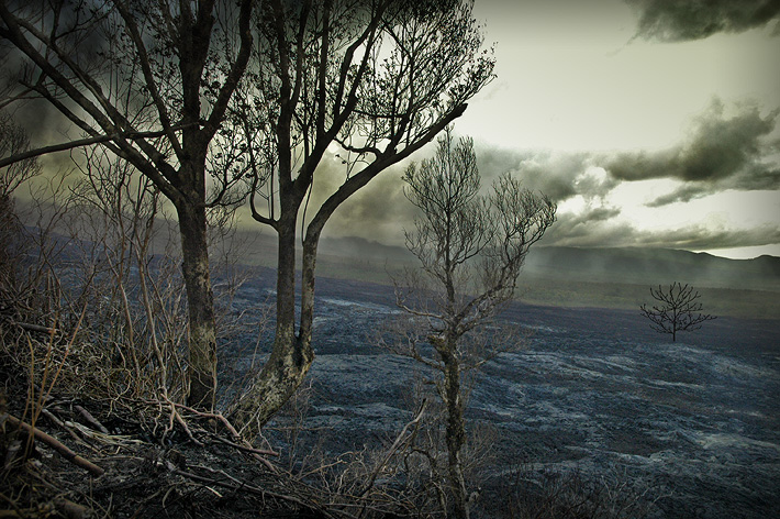 Coulée de lave Volcan sur l'île de la Réunion...
Volcan sur l'île de la Réunion... 
Mots-clés: réunion volcan