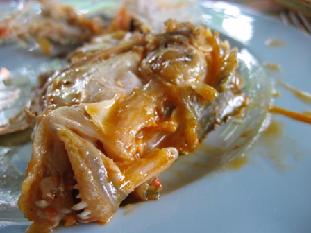 Restes d'un Trondro (poisson) après un repas au restaurent "La Bigorne" sur l'ile Sainte-Marie. Madagascar
Mots-clés: Madagascar Cuisine gastronomie