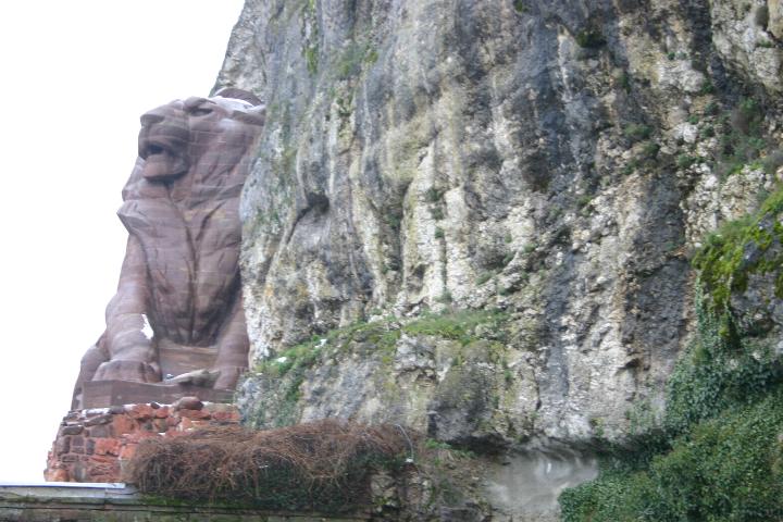 Lion de Belfort
Photo du Lion de Belfort prise le 31 décembre 2004.
Mots-clés: Belfort lion-de-Belfort