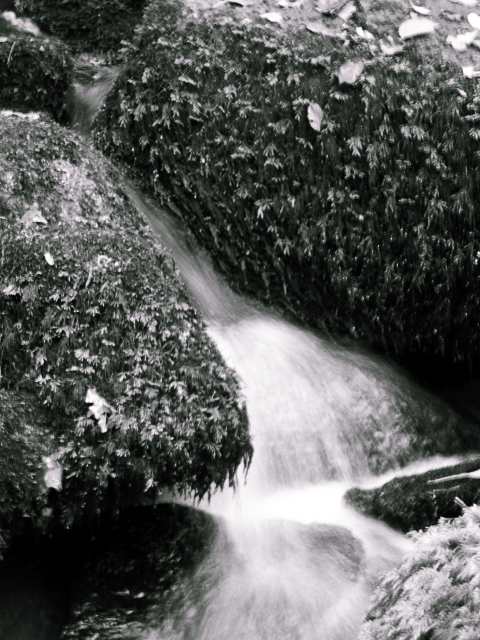 cascade  et mouvement
en soirée dans les sous bois, objectif saisir la grâce de cette cascade, techniquement pas parfaite, mais joli souvenir!
Mots-clés: cascade bretagne