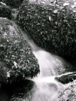 bretagne internet003.jpg