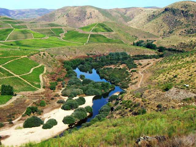 vallée de l'Almendra
réserve naturelle au nord du portugal
Mots-clés: almendra portugal paysage eau