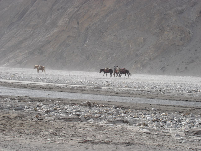 A votre avis, dans quel pays? Marchand traversant un désert venteux
Mots-clés: désert