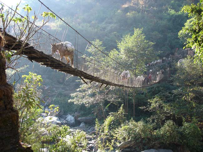 Pont de singe. Traversée d'une caravane de 200 ânes, sur un pont au Népal
Mots-clés: Népal âne pont-de-singe