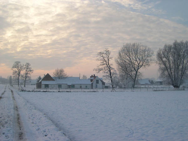 Nature belge
Hiver
Mots-clés: Belgique