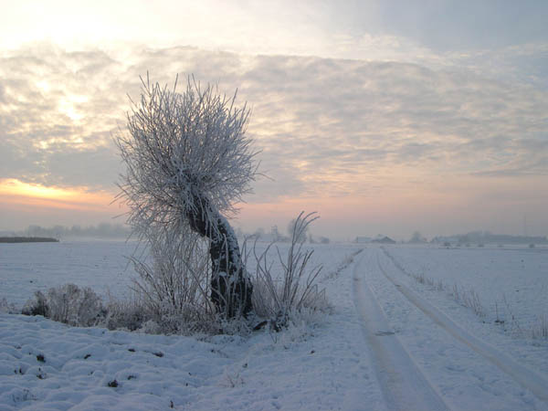 Neige
Quelque part en Belgique
Mots-clés: Belgique