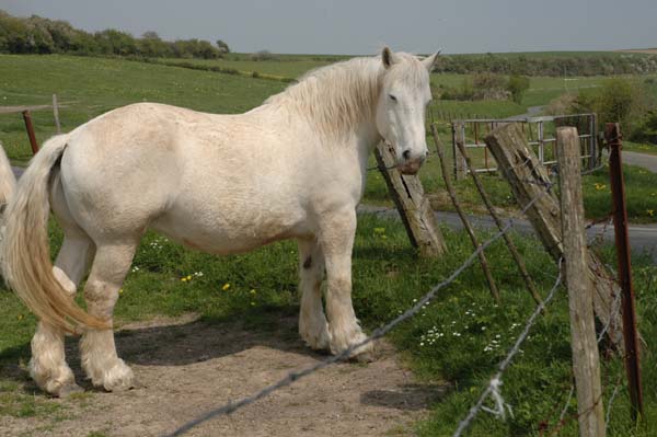 un autre
ce n'est pas celui de henri IV
