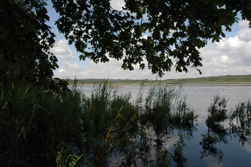 Virelles, une des vues de l'étang
