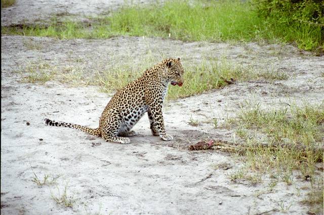 QUI A GAGNE.?
frontiére NAMIBIE
Mots-clés: Namibie