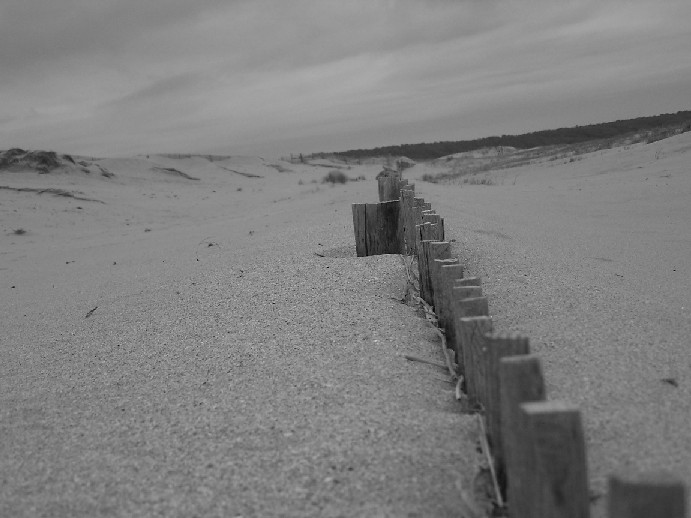 Barrière engloutie sous le sable
Barrière
Mots-clés: Sable-d-olonne