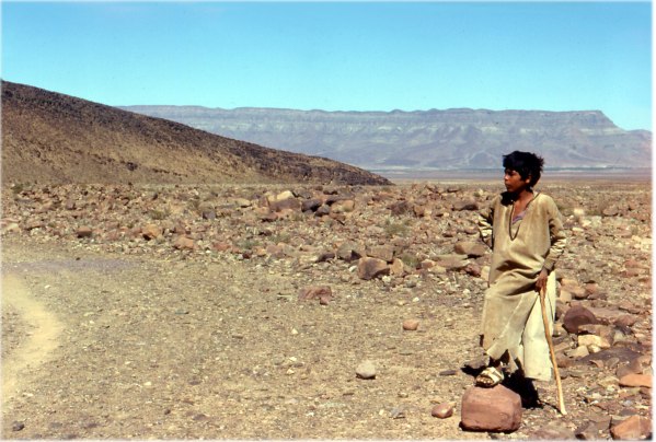 Sérieux dans son travail!
Seul dans le désert à surveiller ses moutons, ce jeune garçon reste imperturbable.
Mots-clés: Maroc berger désert