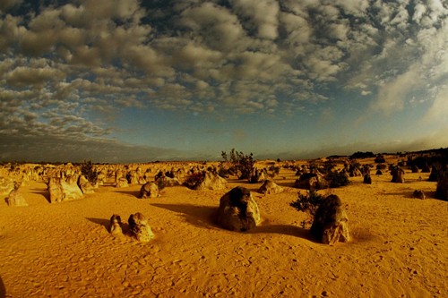 Pinnacles, un endroit magique - WA, Australie
Mots-clés: Australie