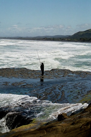 Auckland et ses coins de paradis :: partie de pêche
Mots-clés: Océanie Nouvelle-Zélande Auckland