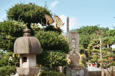 Vol de papillon Tokyo Japon
Dans un petit cimitere perdu de Tokyo, deux papillon paradent, offrant ainsi un spectacles des plus étrange...
Mots-clés: Tokyo papillon cimetiere Japon