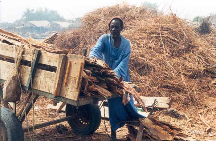 Le Sénégal en Images
Bois pour fumer les poissons
Mots-clés: fumage poissons Senegal Afrique