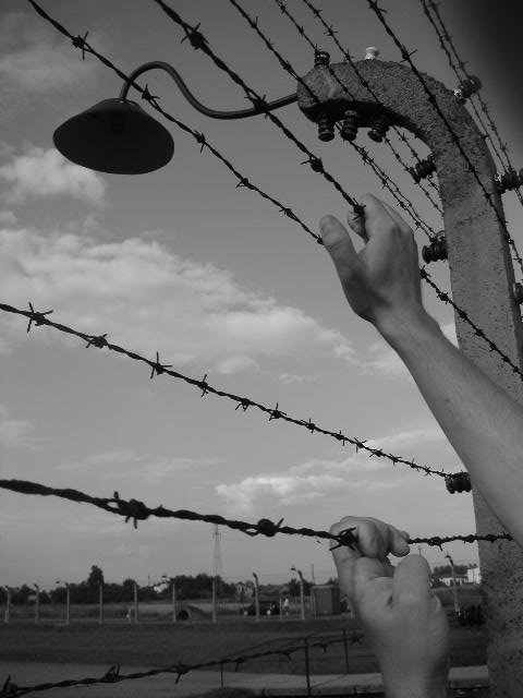 Libre
Camp Auschwitz
Mots-clés: Auschwitz libre