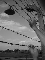 Auschwitz 007.jpg