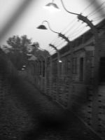 Auschwitz 039.jpg