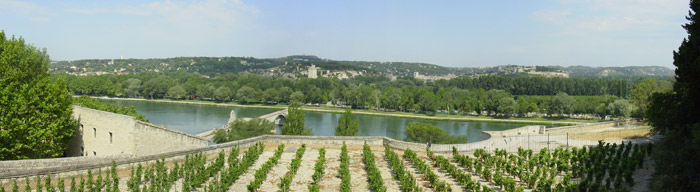 Avignon en été
vue sur le pont et la vigne
Mots-clés: Avignon