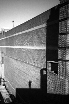 sur les toits
le toit du printemps
Mots-clés: printemps